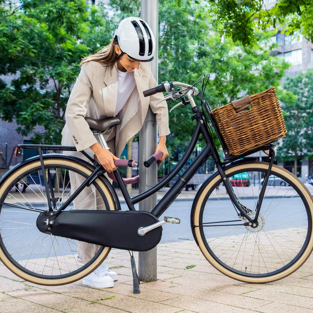 abus-schloss-fahrrad-832fwy.webp Das Abus Fahrradschloss Goose Lock: Flexibel und stabil – Bild 1